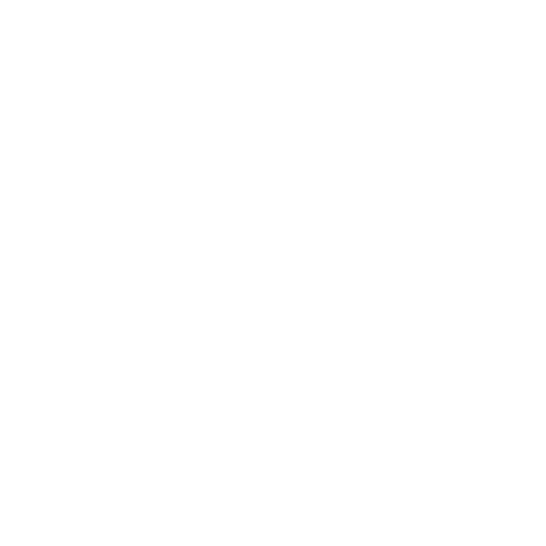 Slimix LLC